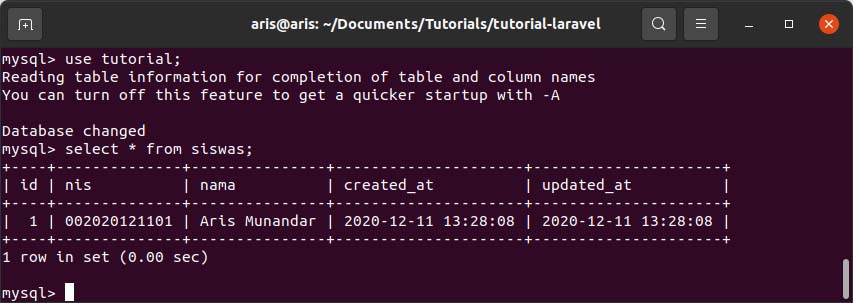 dummy database